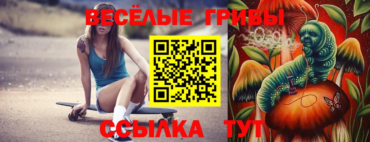 Галлюциногенные грибы Cubensis Ростов Великий